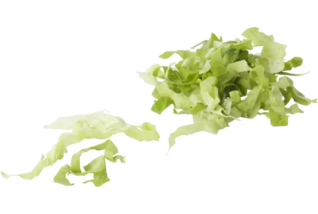 Endive 5mm 1kg crade 2 pieces