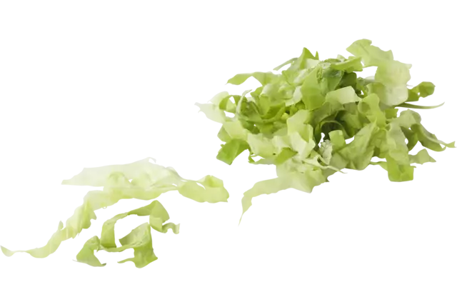 Endive 10mm 1kg piece