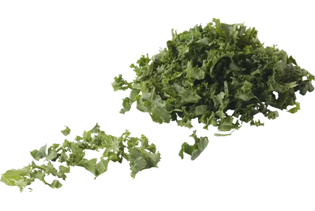 Boerenkool gesneden 10mm 250gr stuk