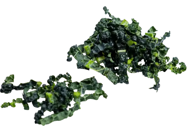 Cavolo nero 10mm bulk