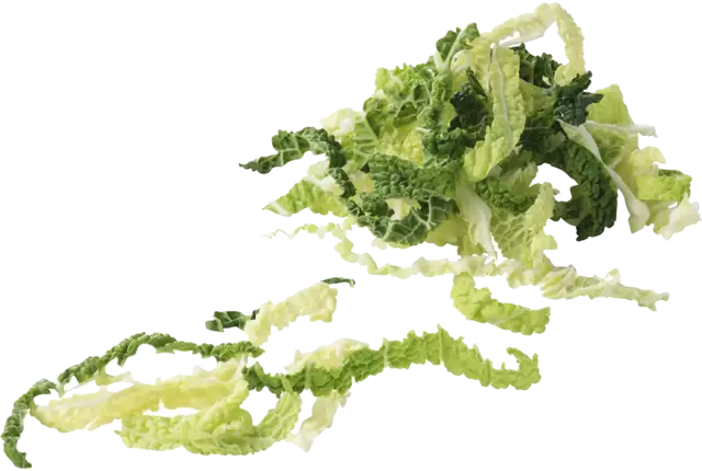 Groene kool 2x gesneden zak 2,5kg per kist 1 stuk