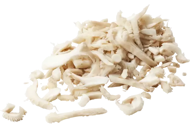 Oesterzwam gesneden zak 1kg stuk