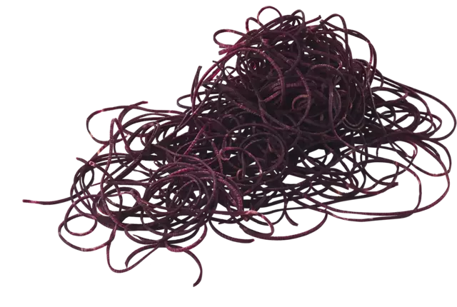 Winterpeen zwart spaghetti bak 400gr