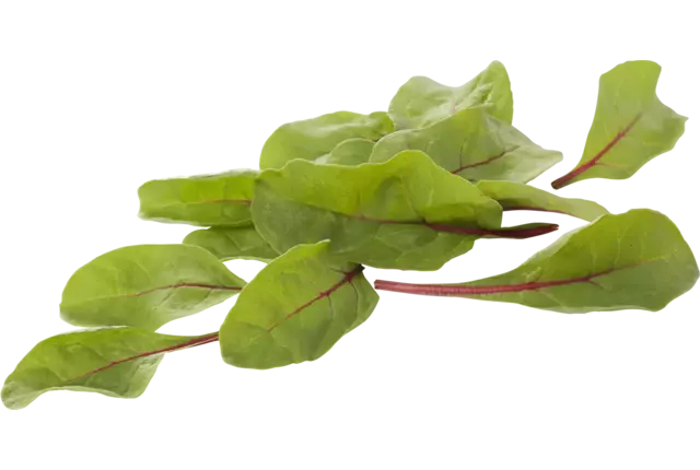 Red chard verpakt 125gr kist 8 stuks