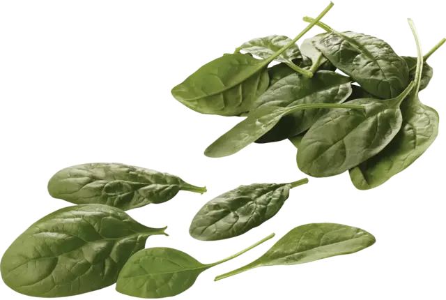 Baby spinach 125gr crade 8 pieces
