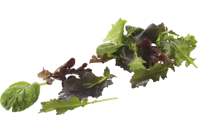 Mesclun verpakt 125gr kist 8 stuks