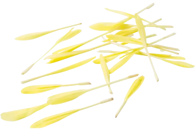 Popcorn shoots 30gr. piece