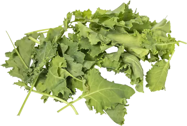 Baby green kale 125gr kist 8 stuks
