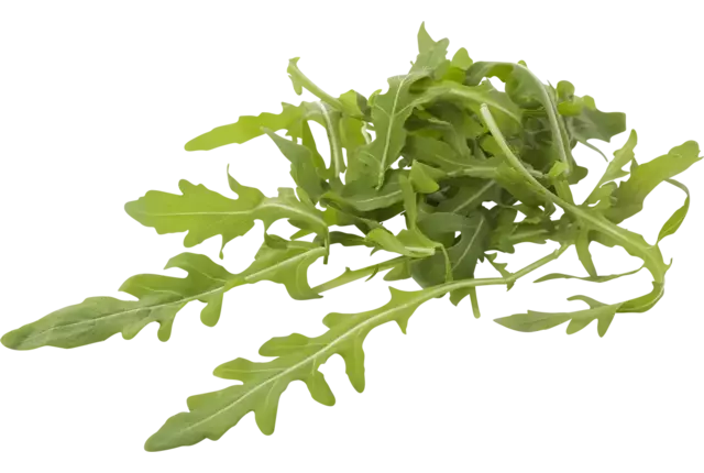 Roquette lavée 250g caisse 4pc