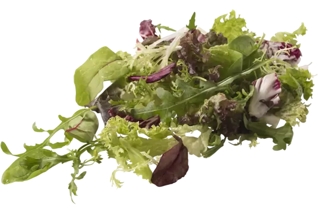 Slamix Mesclun 1kg stuk