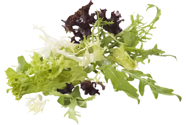 Rucola melange exclusief zak 250gr