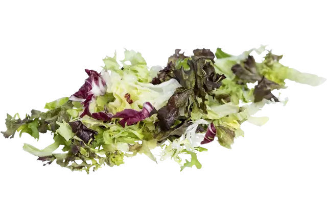 Fijne horeca slamix zak 500gr
