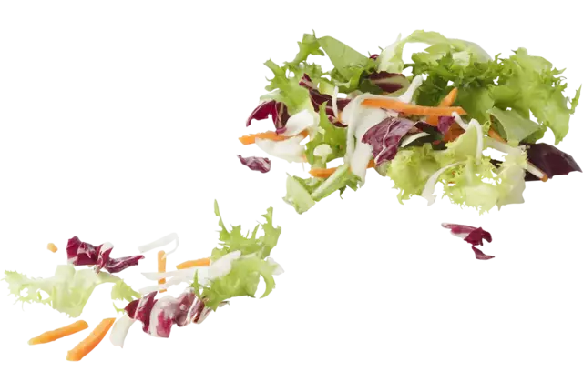 Gemengde slamix gesneden zak 200gr stuk