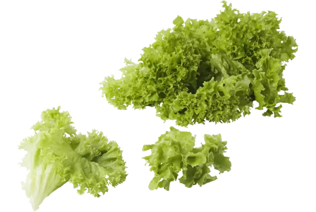 Lollo bianca gewassen zak 500gr stuk