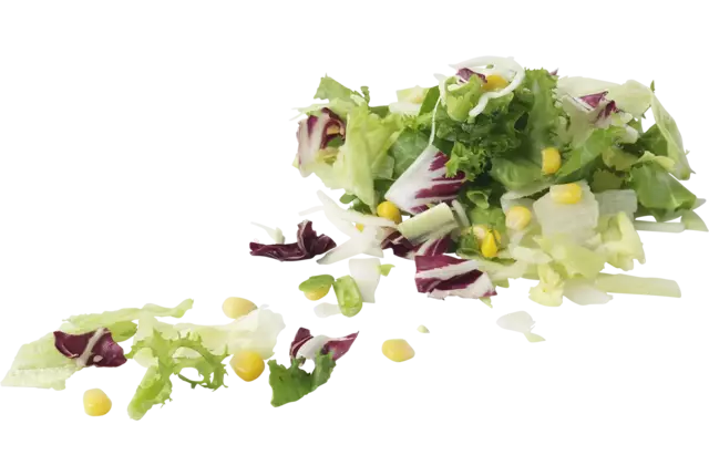 IJsbergmelange zak 500gr stuk