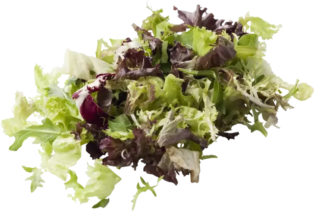 Slamix rucola zak 500gr stuk