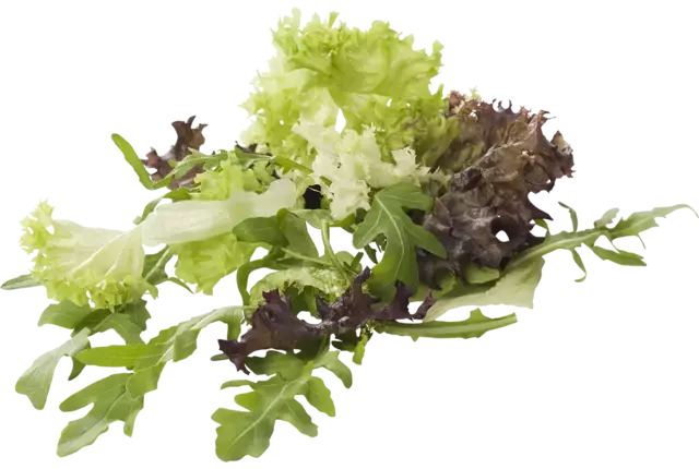 Roquette mélange garniture 1kg caisse 1pc