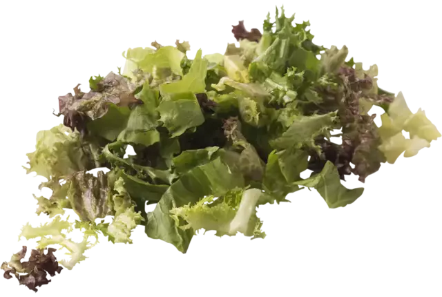 Sla speciaal zak 500gr stuk