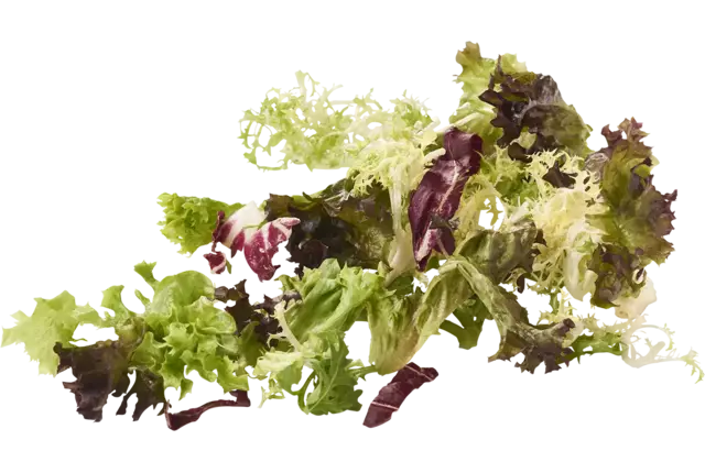 Sla speciaal zak 250gr kist 4 stuks