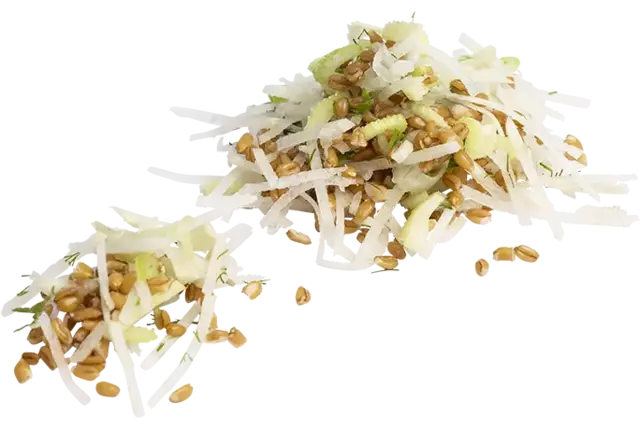 Parelgortsalade met bleekselderij 1kg stuk