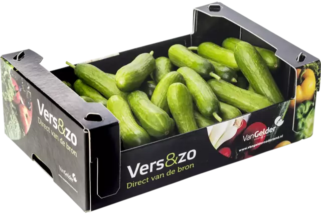 Snackkomkommer doos 1kg kist 2 stuks
