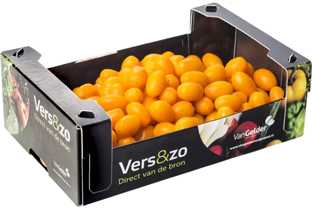 Snacktomaat oranje doos 1,5kg per stuk
