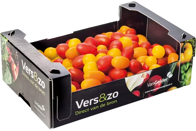 Snacktomaat mix doos 1,5kg stuk
