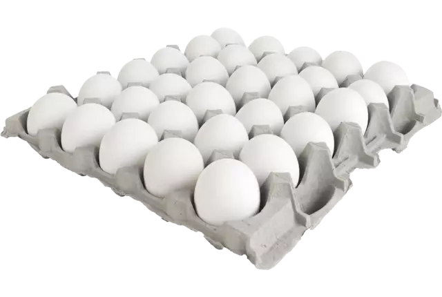 Oeufs blancs caisse 90pc