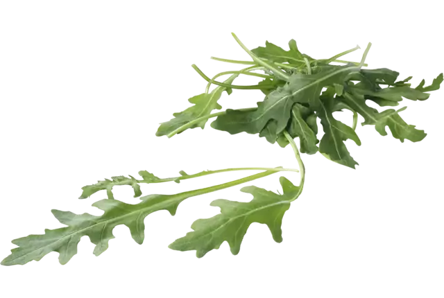 BIO Rucola kist 1 kilogram