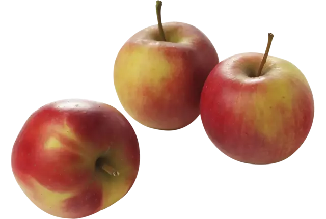 BIO appels verpakt 4st