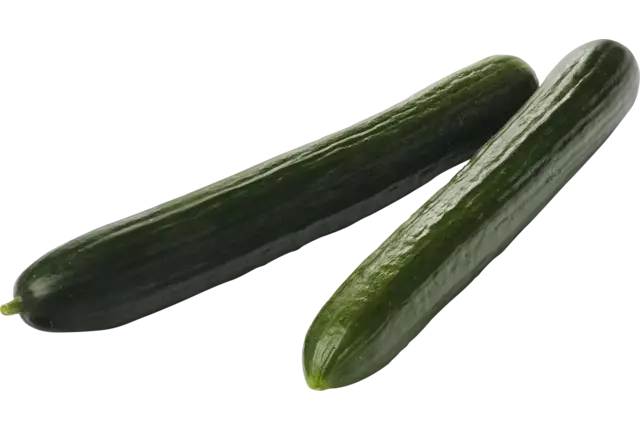 BIO Komkommers kist 12 stuks