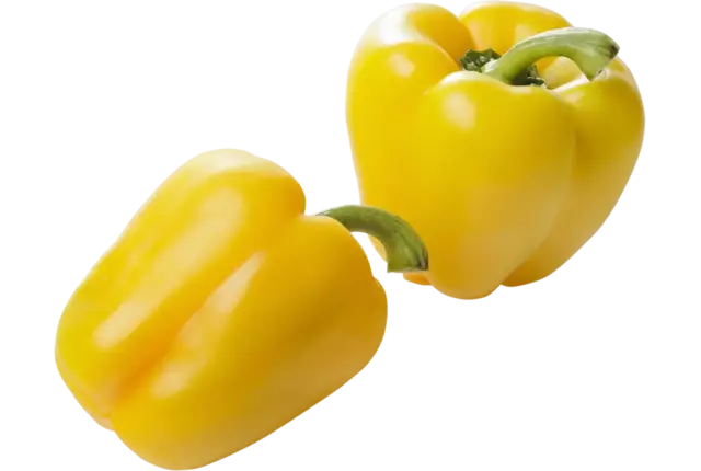 BIO Paprika geel kist 5 kilogram