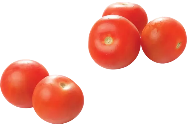 BIO Tomaten kist 6 kilogram