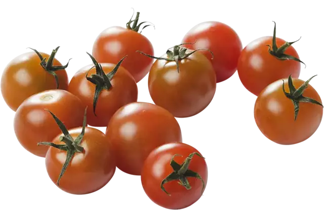 BIO Tomaten cherry 250gr kist 9 stuks