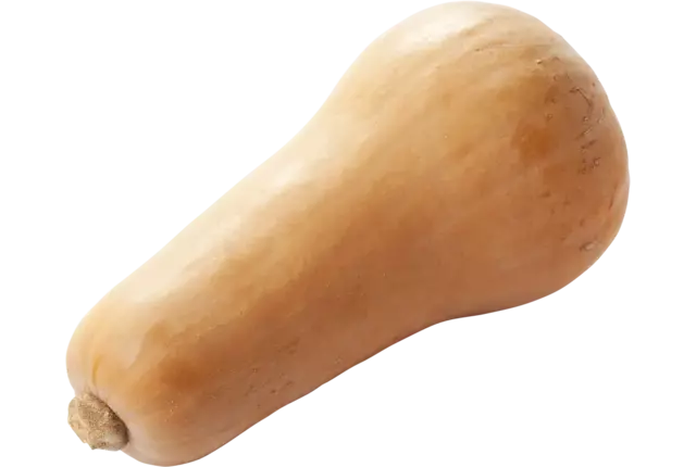 BIO Flespompoen kist 7 stuks