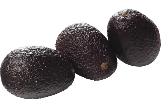 BIO Avocat caisse 4kg