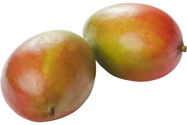 Mango ready to eat groot kist 12 stuks