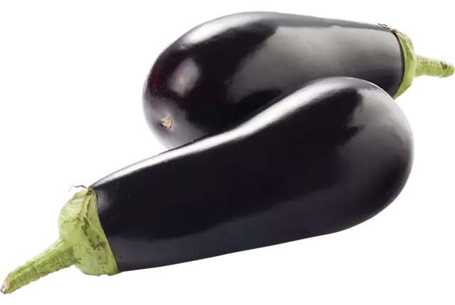 BIO Aubergine kist 10 stuks