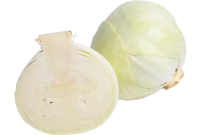 Witte kool +-- 1kg regeneratief stuk