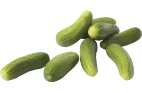 Augurken vers