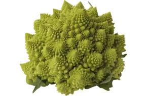 Romanesco bloemkool
