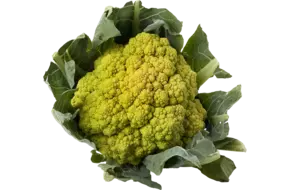 Bloemkool groen