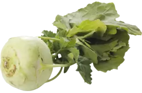 Turnip Cabbage crade 20 pieces