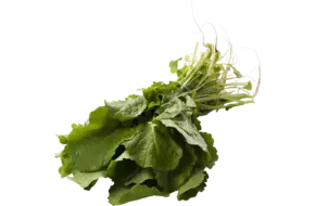 Raapstelen