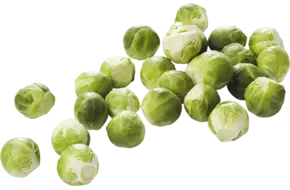 Spruitjes D