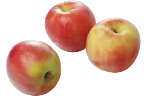 Elstar appels 75-80