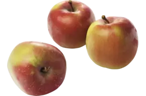 Jonagold appels 70-80