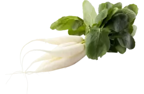 IJspegels