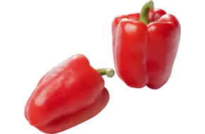 Paprika rood