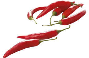 Pepers rood verpakt 100gr